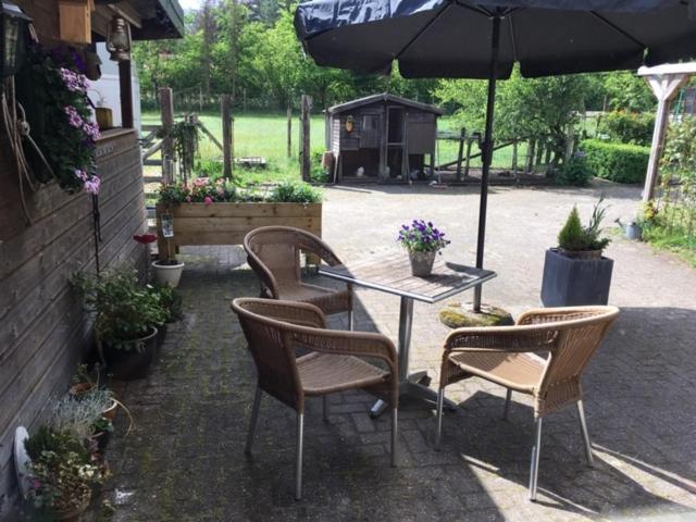 Appartamento Op Hoog Baarlo Hoenderloo Esterno foto